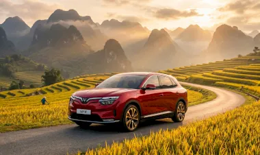 VF 8 Plus​