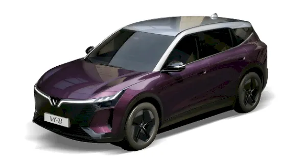 Mysterioso Purple Body - Stealth Gray Roof
