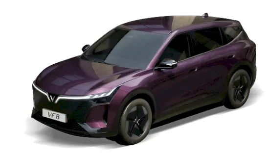 Mysterioso Purple